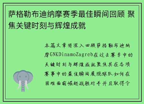 萨格勒布迪纳摩赛季最佳瞬间回顾 聚焦关键时刻与辉煌成就